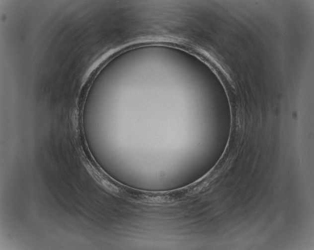 X0000087671460200705040713