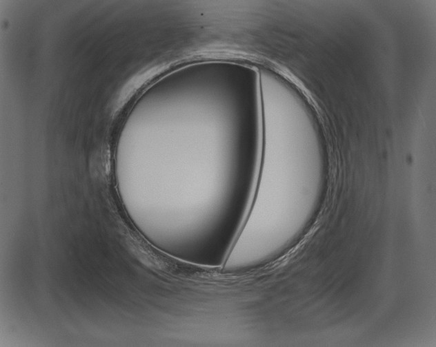 X0000087671461200705040713