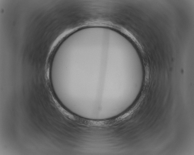 X0000087671462200705040713