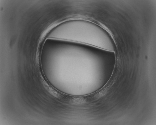 X0000087671464200705040713