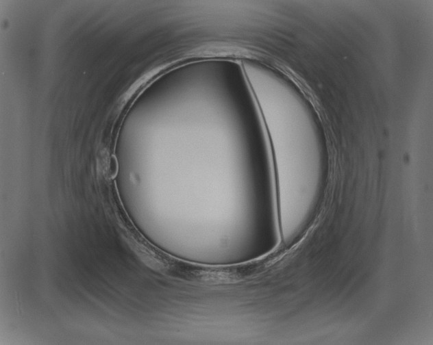 X0000087671465200705040713