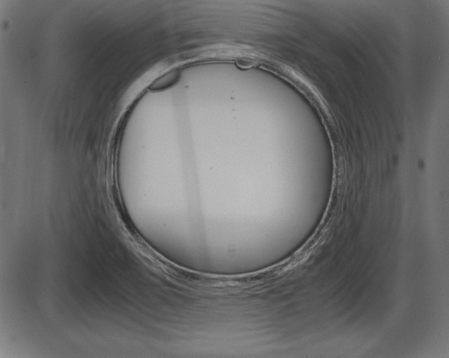 X0000087671467200705040713