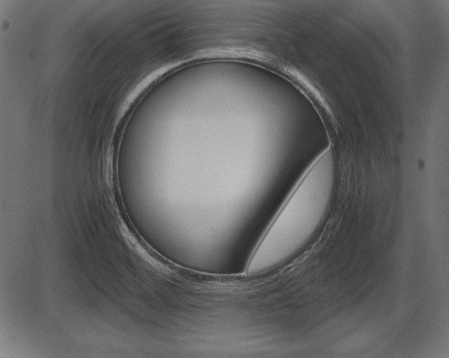 X0000087671468200705040713