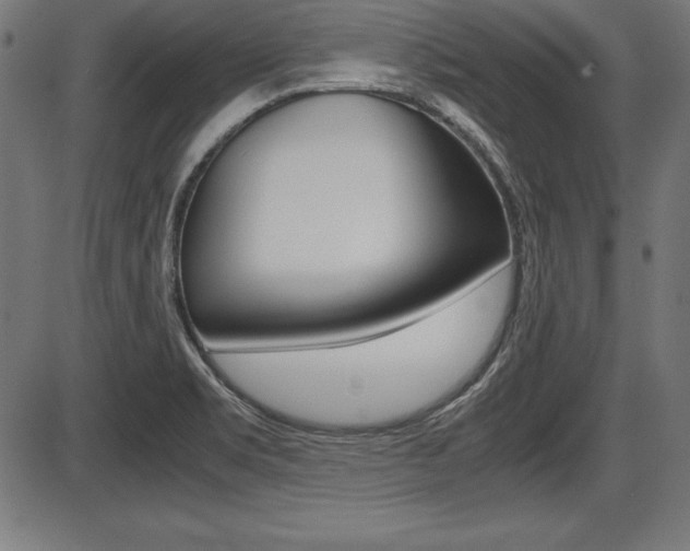 X0000087671469200705040713