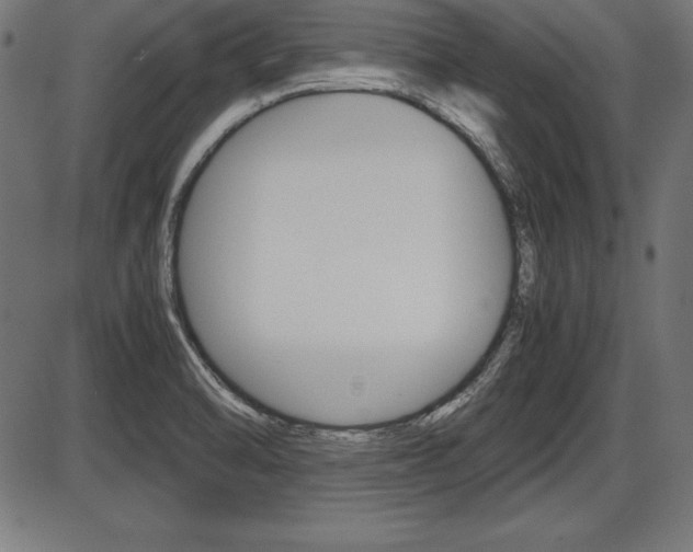 X0000087671470200705040713
