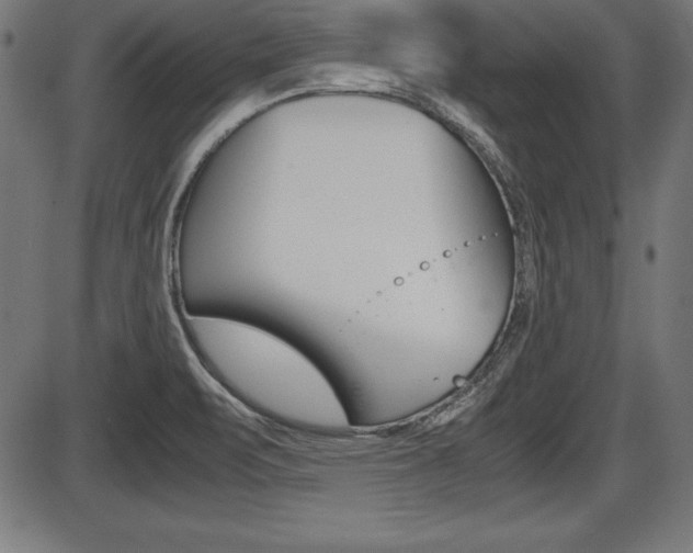 X0000087671471200705040713