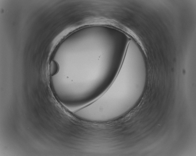X0000087671472200705040713