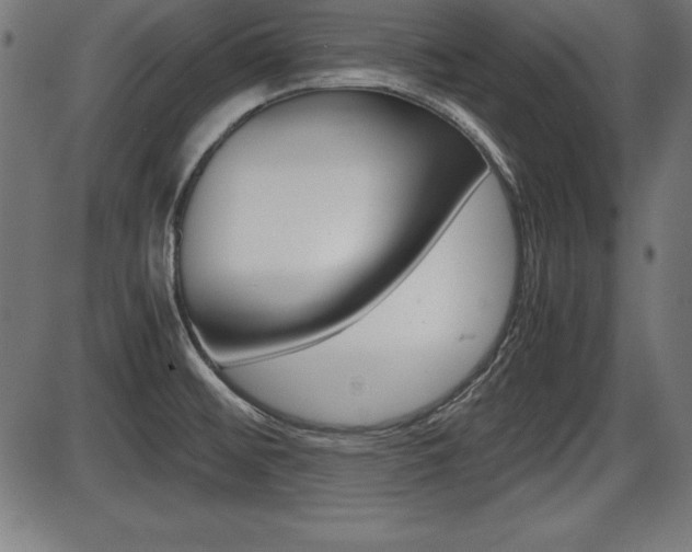 X0000087671476200705040713
