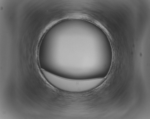 X0000087671477200705040713