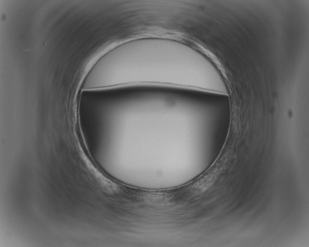 X0000087671479200705040713