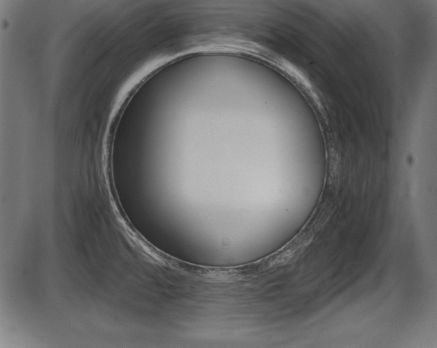 X0000087671480200705040713