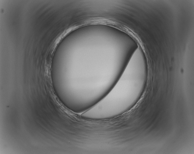 X0000087671481200705040713
