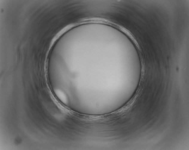 X0000087671482200705040713