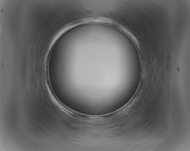 X0000087671483200705040713