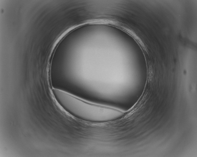 X0000087671484200705040713