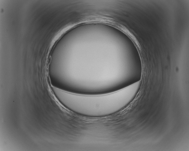 X0000087671485200705040713