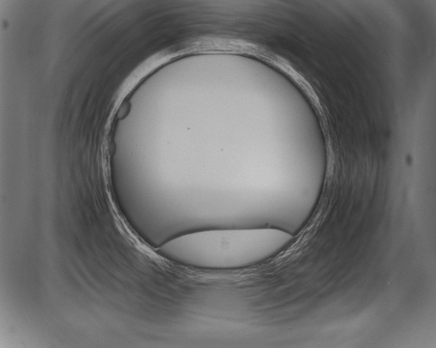 X0000087671486200705040713