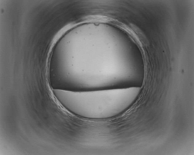 X0000087671488200705040713