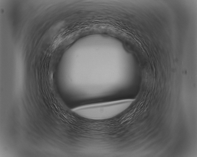 X0000087671489200705040712