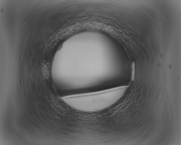 X0000087671491200705040712