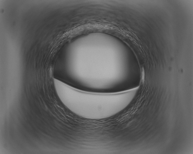 X0000087671492200705040712