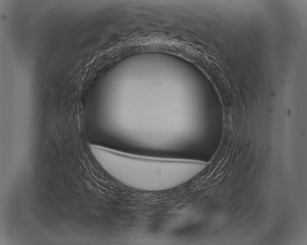 X0000087671493200705040712