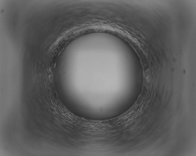 X0000087671495200705040712