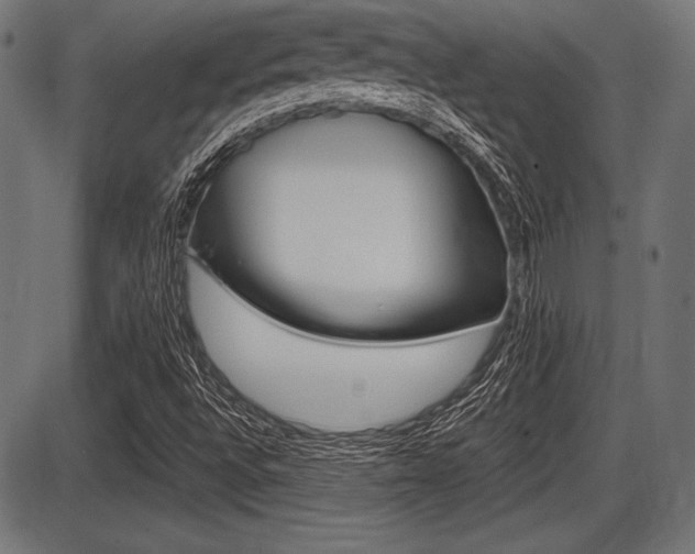 X0000087671496200705040712