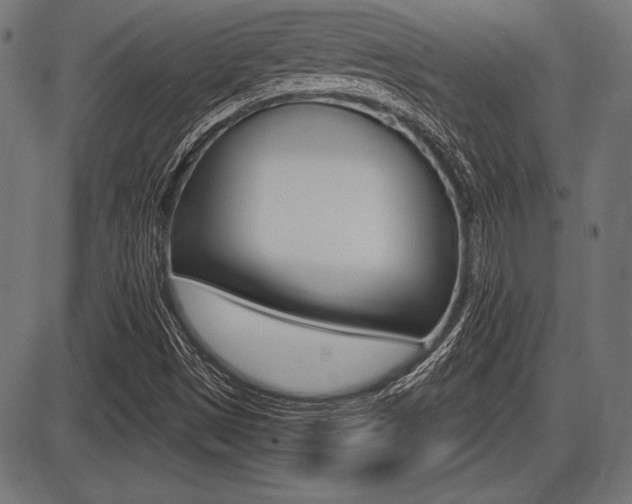 X0000087671497200705040712