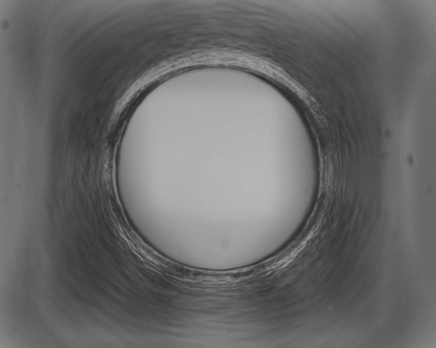 X0000087671498200705040712