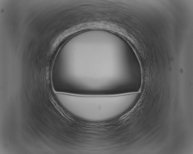 X0000087671499200705040712