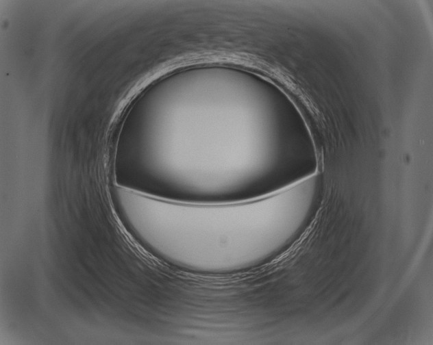 X0000087671500200705040712