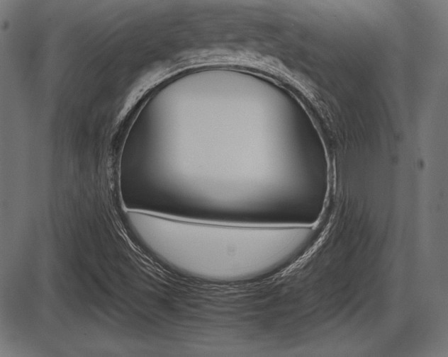 X0000087671501200705040712