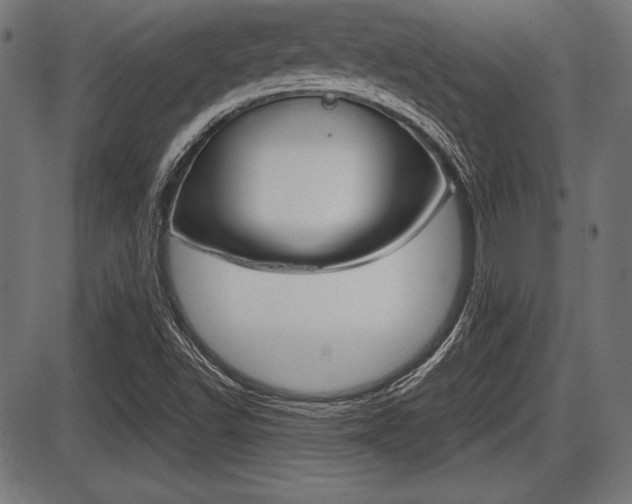 X0000087671502200705040712