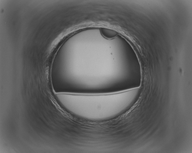 X0000087671503200705040712