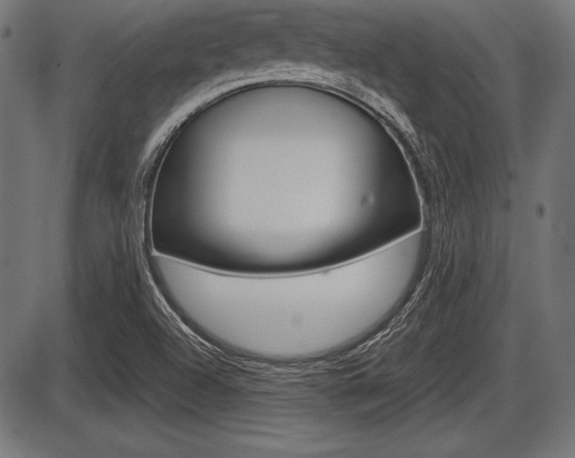 X0000087671504200705040712