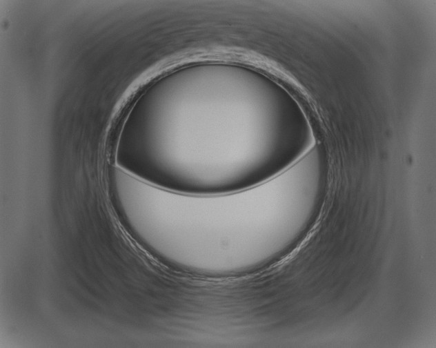 X0000087671506200705040712