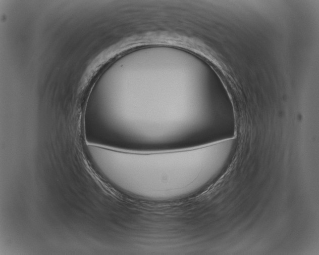 X0000087671507200705040712