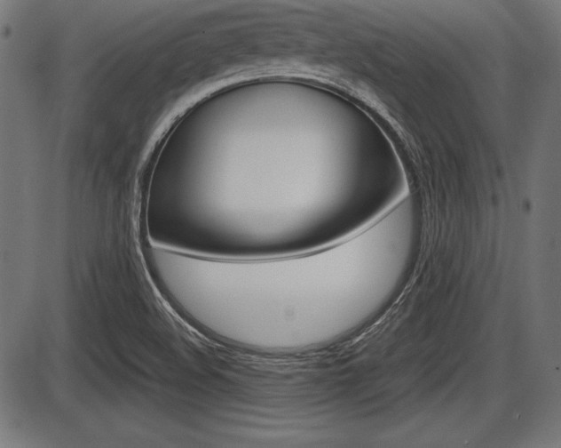 X0000087671508200705040712
