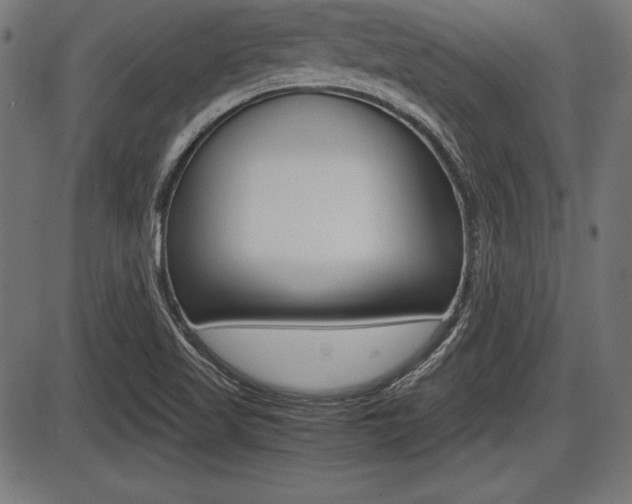 X0000087671509200705040712