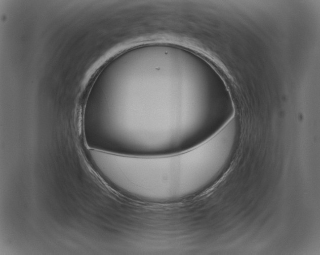 X0000087671510200705040712