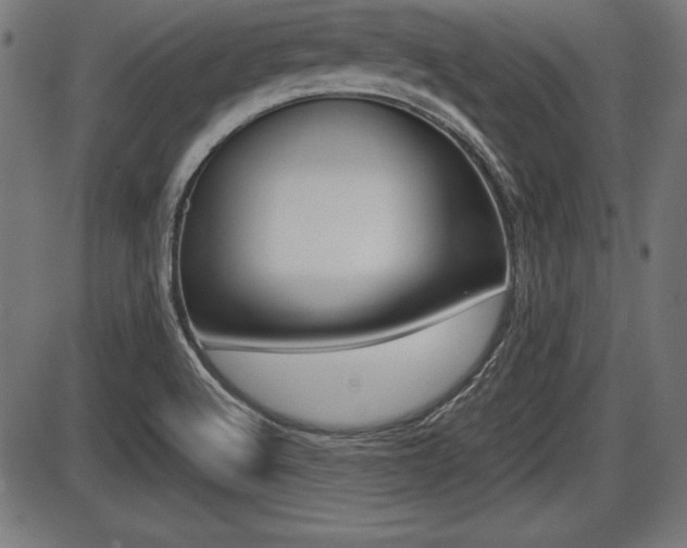 X0000087671512200705040712