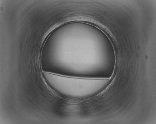 X0000087671513200705040712