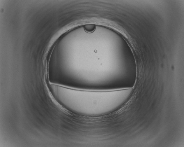 X0000087671515200705040712