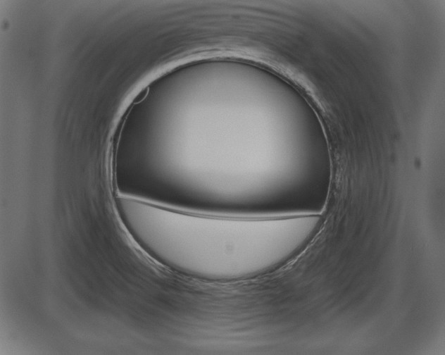 X0000087671516200705040712
