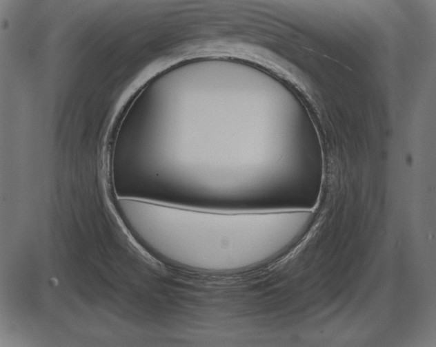 X0000087671517200705040712
