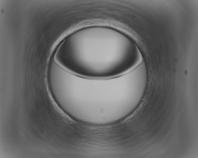 X0000087671518200705040712