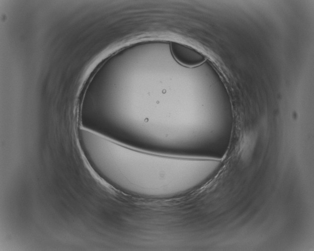 X0000087671519200705040712
