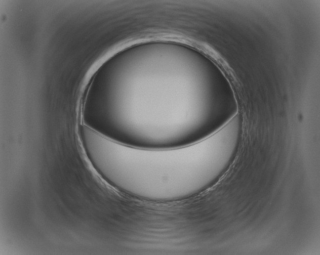 X0000087671520200705040712