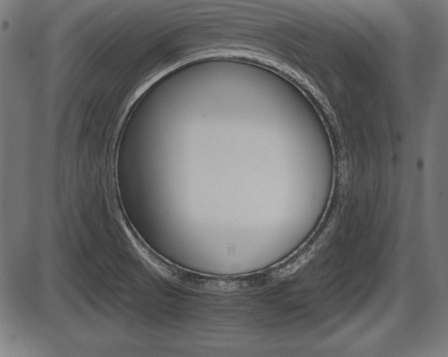 X0000087671521200705040712